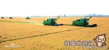 黑龙江农场爆料事件最新,揭露背后惊人真相 第3张 黑龙江农场爆料事件最新,揭露背后惊人真相 第3张